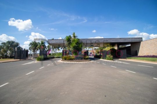 Entreverdes-1