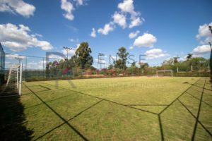 Entreverdes-31
